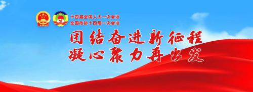 中国共产主义青年团章程